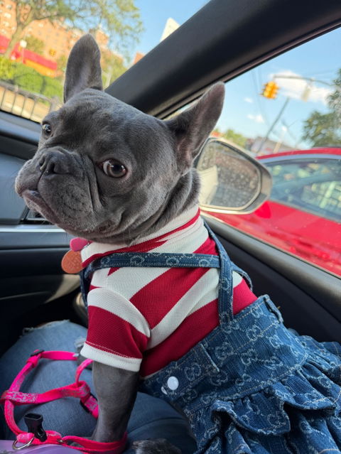 Fetch Me Denim Overall Skirt