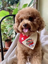 Paws Up For SG! - Red Star Duo Tone Maroon Bandana