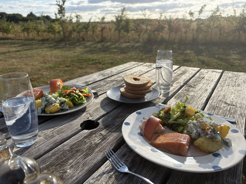 Free Guide to The Pished Fish!
