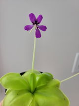 Terry Duong review photo