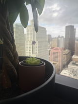 Demandbase Workplace Team review photo