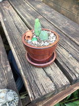 Gary Cosby review photo