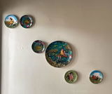 Anand Kulkarni review photo