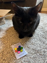 Grace H review photo