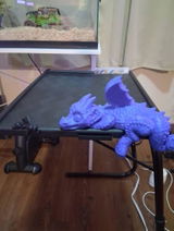 Etsy customer review photo