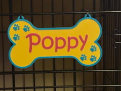 Personalized Dog Crate Sign | Custom Kennel Nameplate