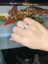 Customer review photo