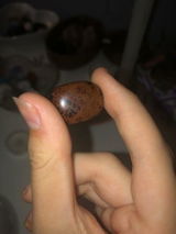Lily-Grace review photo