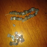 D.V. review photo