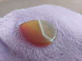 G.G. review photo