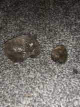 Ilikecrystals review photo