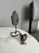 Janet Amass review photo