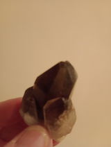 J.F. review photo