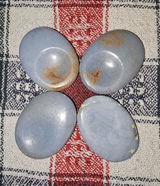 Ninoslav review photo