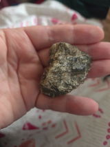 Haley Palmer review photo