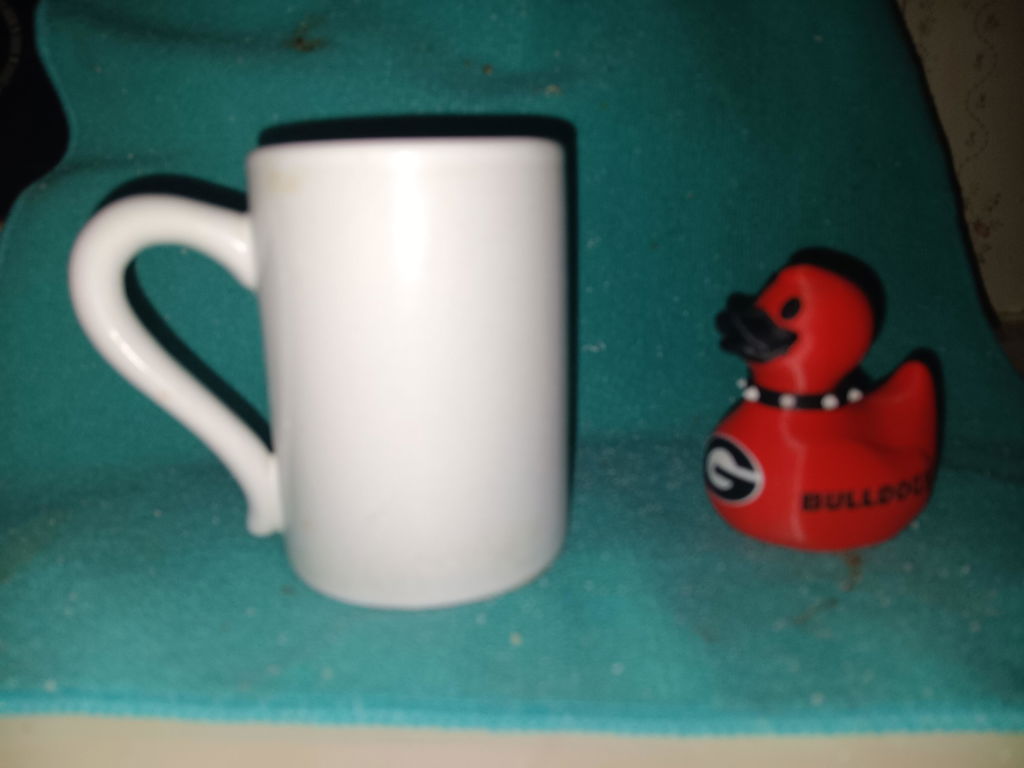Georgia Bulldogs Duck