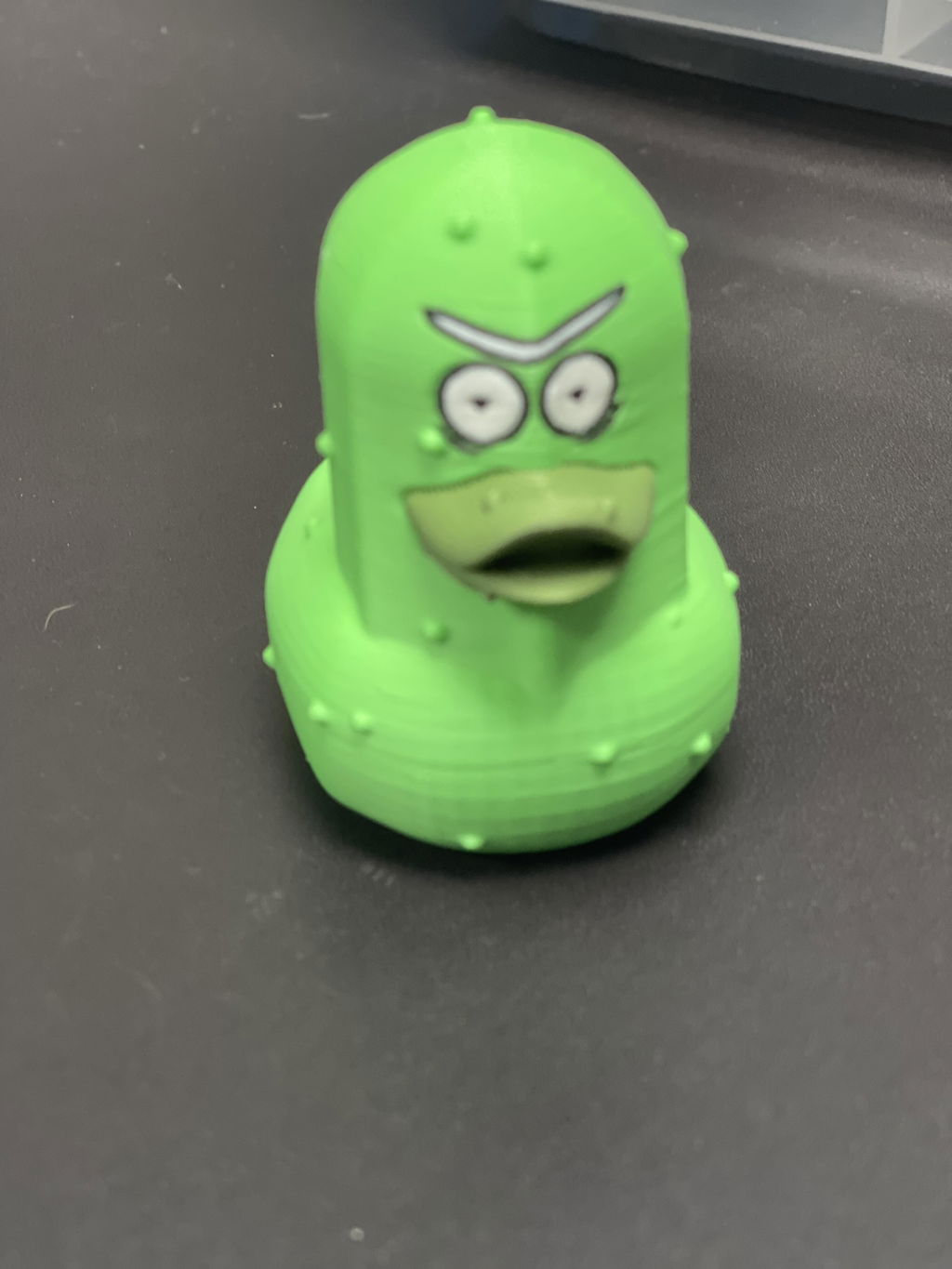 Mr Pickle Duck