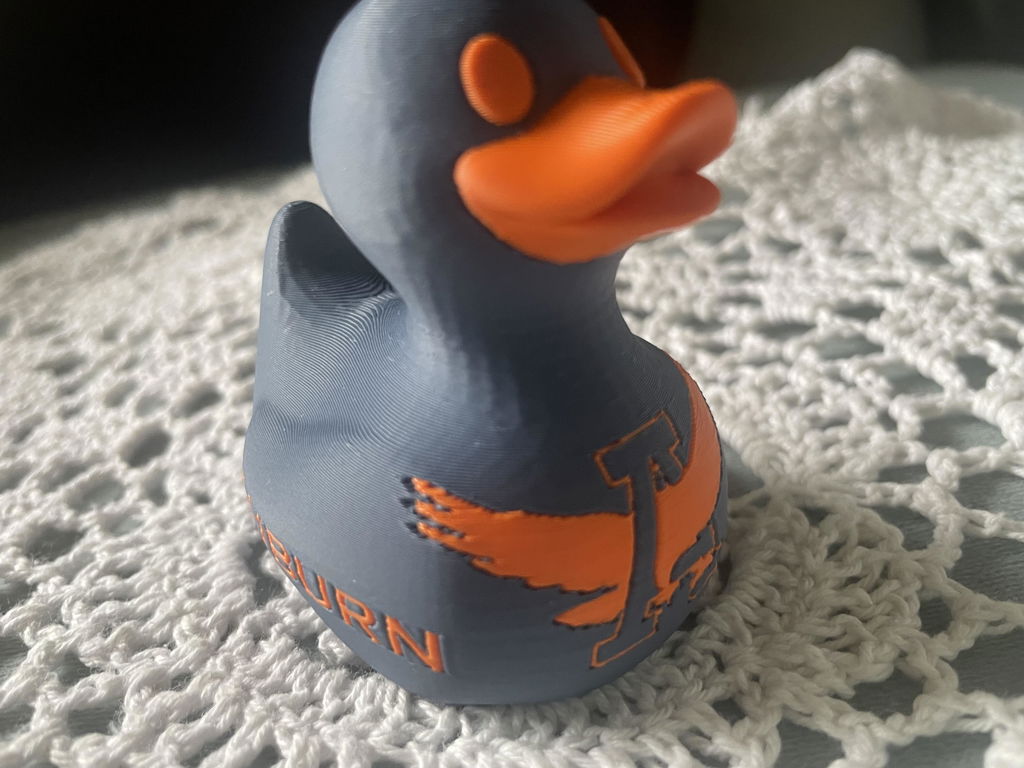 Custom Sports Team Duck