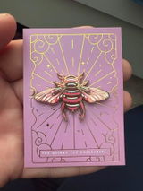 Losa B. review photo