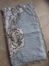Pure Chinon Saree with Hand Embroidery - Ice Blue