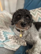 Etsy customer review photo
