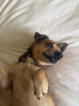 Etsy customer review photo