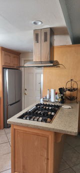 ZLINE Convertible Vent Island Mount Range Hood in Stainless Steel and Glass (GL9i)