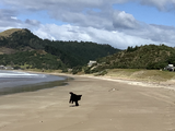 Francie Brierly review photo