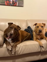 Jen review photo
