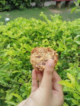 Karni Sadh review photo