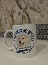 Glen Lillund review photo