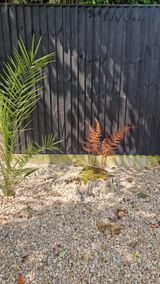 Raechel Porter review photo