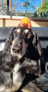 Raffa review photo