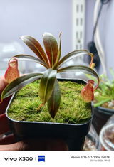 Newsletter Subscriber review photo