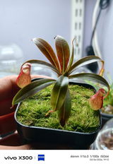Newsletter Subscriber review photo