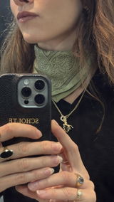 Scholte review photo