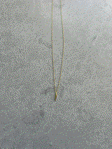 M.F review photo