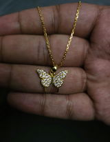 Manvi review photo