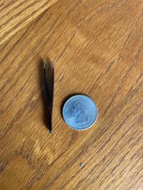 Sally K. review photo
