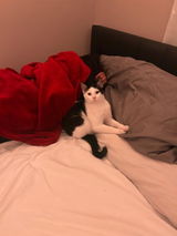 Anonymous review photo