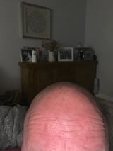 howard griffith review photo