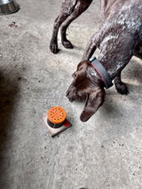 That Dog Man of Wilmington review photo