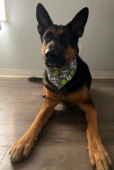 Etsy customer review photo