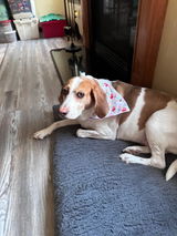 Etsy customer review photo
