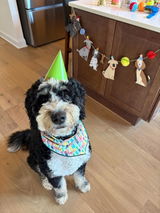 Etsy customer review photo