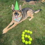 Etsy customer review photo