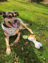 Etsy customer review photo