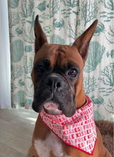 Etsy customer review photo