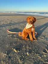 Etsy customer review photo