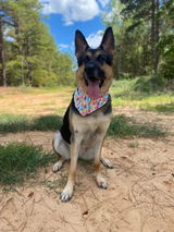Etsy customer review photo